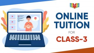 Best Online Tuition for Class 3 – Personalized Learning with Ziyyara